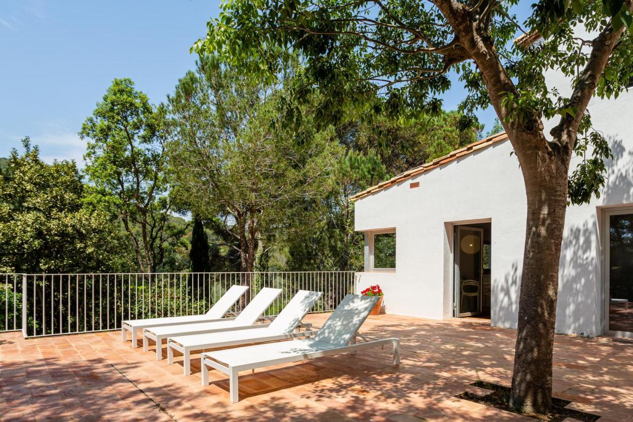 Sagulla Blanes